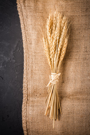 Ears of grain. Golden ears of wheat on burlap textileの写真素材