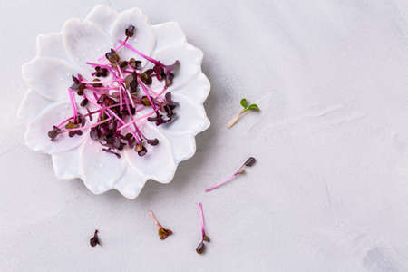Purple Shiso Cress on grey plateの写真素材