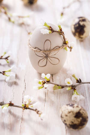 Easter eggs on with cherry branch. Easter decoration with quails eggsの写真素材