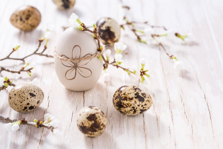 Easter eggs on with cherry branch. Easter decoration with copy spaceの写真素材