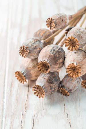 Poppy heads on wooden background.の写真素材