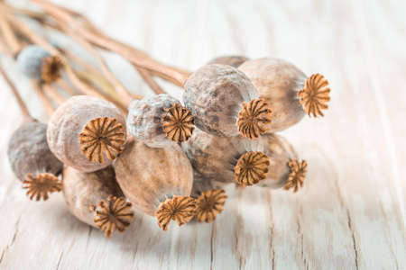 Poppy heads on wooden background.の写真素材