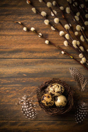 Quail eggs with pussy willow branches on rustic wooden backgroundの写真素材