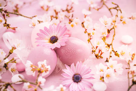 Pink Easter eggs with blooming branch, flowers and sweets for Easter and springの写真素材