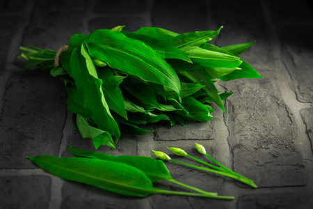 Wild garlic - Bunch of Ramson or bear leek (Allium ursinum) on old kitchen table.