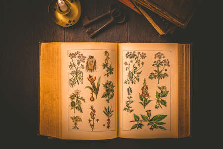Old antique book with pictures of healing and poisonous plant with candle in vintage style on black backgroundの写真素材
