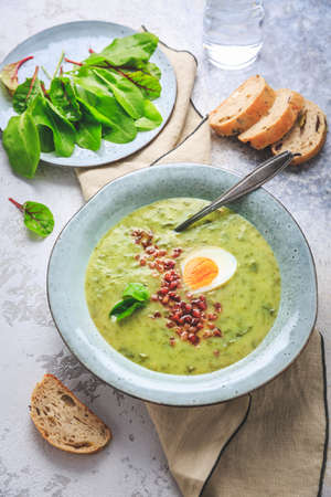 Creamy sorrel soup with egg and bacon bits with breadの写真素材