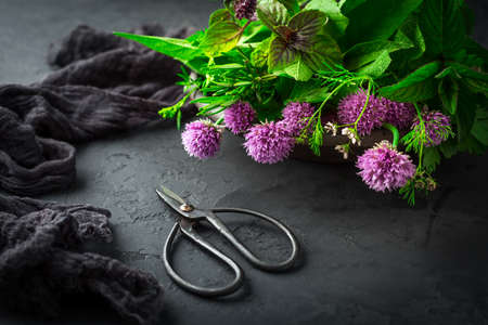 Fresh herbs with garden scissors on black kitchen tableの写真素材
