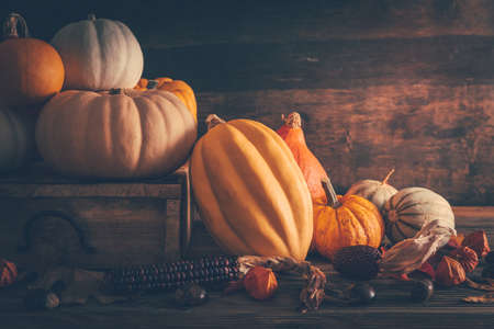 Happy thanksgiving - still life with different pumpkins and autumn leaves on wooden backgroundの写真素材