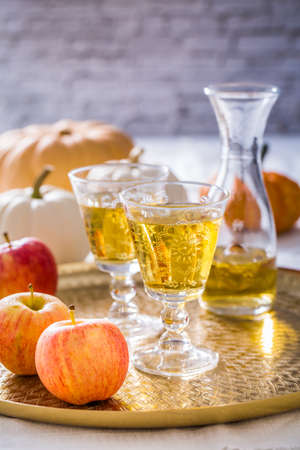 Apple cider with fresh apples and pumpkins for Thanksgiving and autumnの写真素材