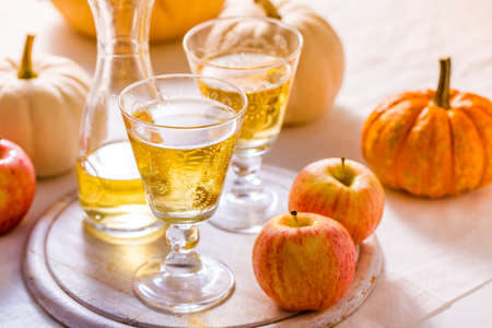 Apple cider with fresh apples and pumpkins for Thanksgiving and autumnの写真素材