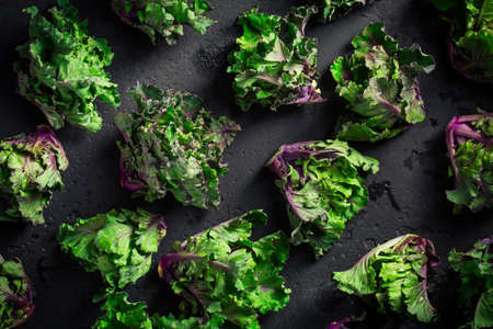 Kalette, kale sprouts or flower sprouts on black background. Hybrid plant, cross between kale and Brussels sprouts.の写真素材