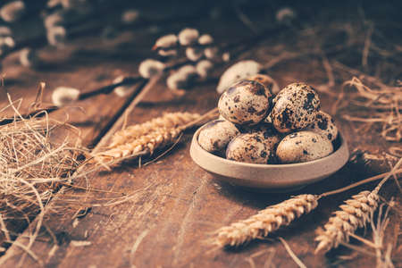 Quail eggs for Easter and blooming pussy willow branches on wooden backgroundの写真素材