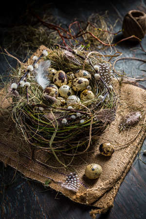 Nest with quail eggs for Easter and blooming branches on black backgroundの写真素材