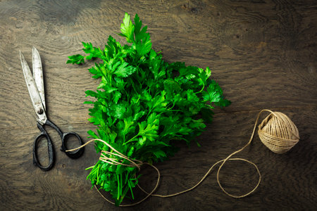 Bunch of fresh parsley with scissors and jute twine on wooden background.の写真素材