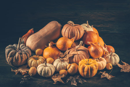 Thanksgiving and autumn background decoration with different pumpkins and dried leaves on wooden backgroundの写真素材