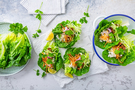 Asian minced meat lettuce wraps with rice, bean sprouts and cabbageの写真素材