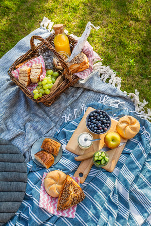 Picnic duvet and basket with various food, fruits, orange juice, yogurt and bread on green grass