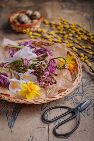 Spring flowers in a basket with garden scissors