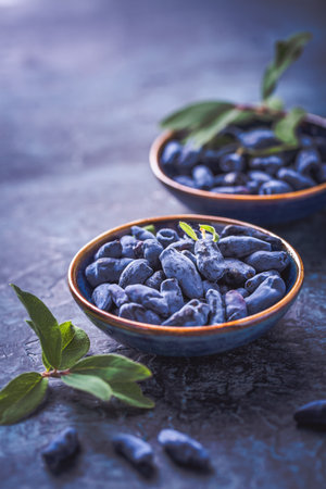 Honeysuckle berries in a bowl on blue background (Lonicera caerulea)の写真素材