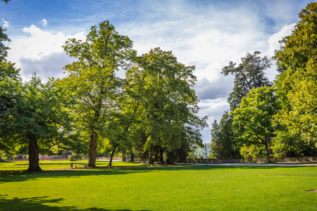 City park. Panorama of a beautiful parkの写真素材