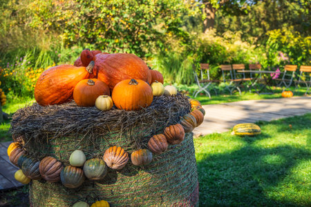Autumn pumpkins decoration in park, garden, patio or terraceの写真素材