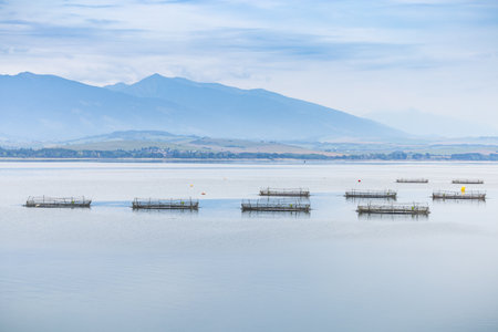 Cages for fish farming in natural river or pond in a morning light, located on Liptovska Mara Lake, Slovakiaの写真素材