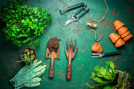 Spring gardening concept - gardening tools with plants, flowerpots and soilの写真素材