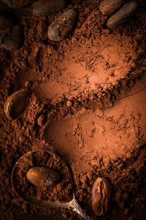 Aromatic Cocoa powder and cocoa beans in brownの写真素材