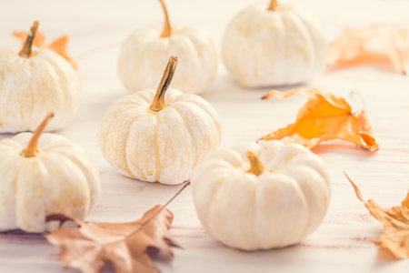 White pumpkins with autumn leaves on wooden background in vintage style. Thanksgiving and Halloween concept.の写真素材