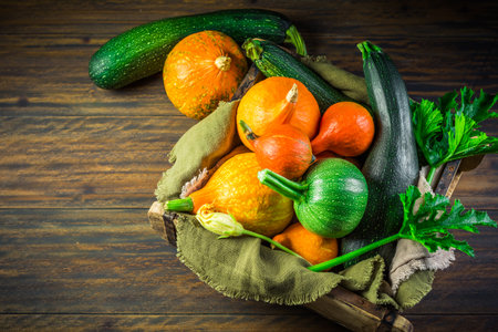 Harvesting - Assortment of organic pumpkins, courgettes and zucchinis on green backgroundの写真素材