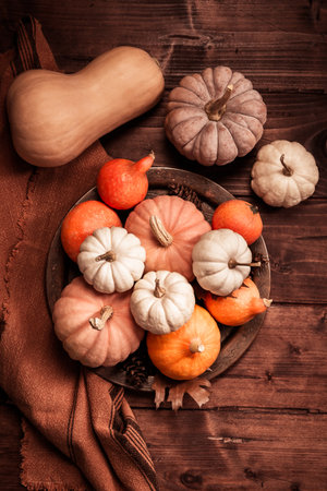 Autumn still life with assorted pumpkins on wooden surface in vintage styleの写真素材