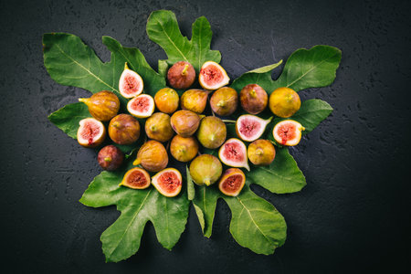 Harvesting - tasty organic figs on black backgroundの写真素材