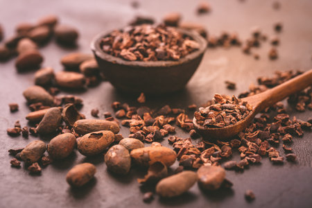 Organic cacao beans and nibs in small bowlの写真素材