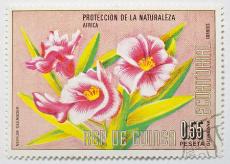 EQUATORIAL GUINEA - CIRCA 1979  A stamp from Equatorial Guinea shows image of a the flower Nerium oleander, circa 1979 の写真素材