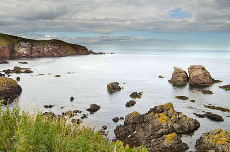 St Abb's Head, Scotlandの写真素材