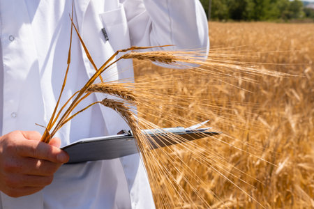 Agricultural scientist is deeply engrossed in taking notes while conducting a thorough examination...