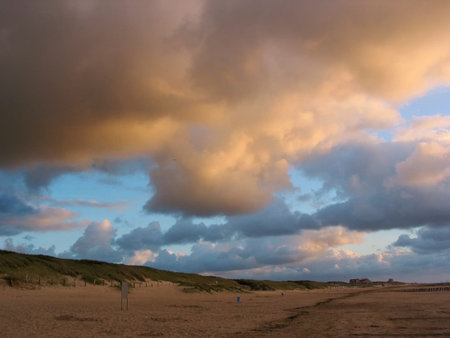 Evening at the beachの写真素材