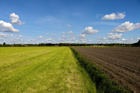 Landscape with grass en maisfieldの写真素材