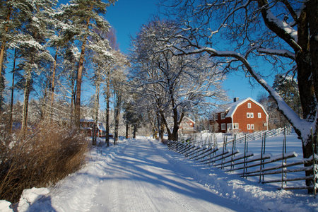 Red houses in the snow の写真素材