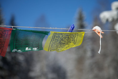 Tibetan flags with clothes pegの写真素材