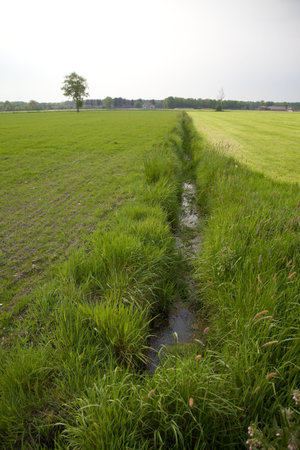 Ditch in dutch landscape の写真素材
