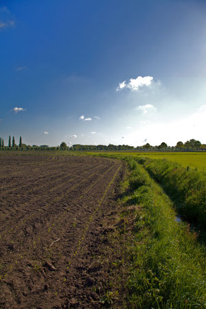 Ditch in a blue brown and green dutch landscapeの写真素材