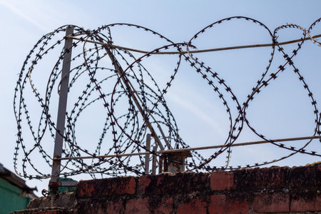 A wall with barbed wire on it. Protecting reality.