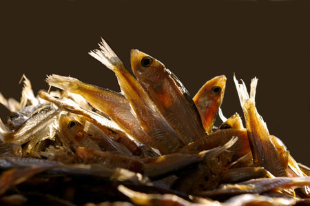 Dried fish (anchovy) in front of sun light