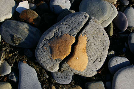 Split stone on the wet beachの写真素材