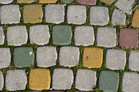 Block pavement texture with green grass and moss background