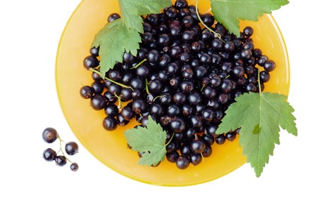 Berries of a black currant and leaves on a yellow plate, it is isolated on the whiteの写真素材