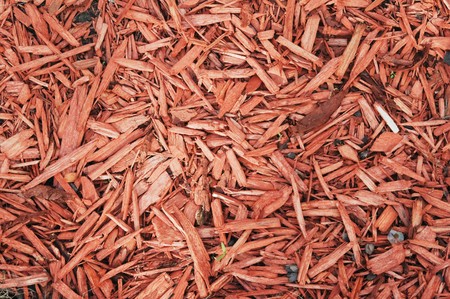 Mahogany shaving, backgroundの写真素材