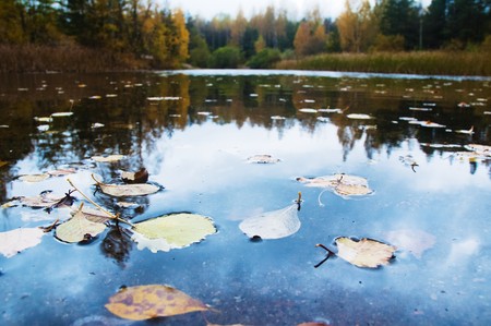 Autumn landscape.の写真素材